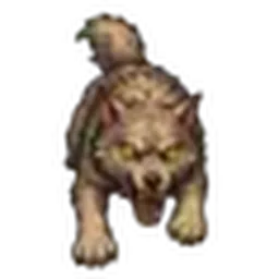 Grauwolf beim Angriff